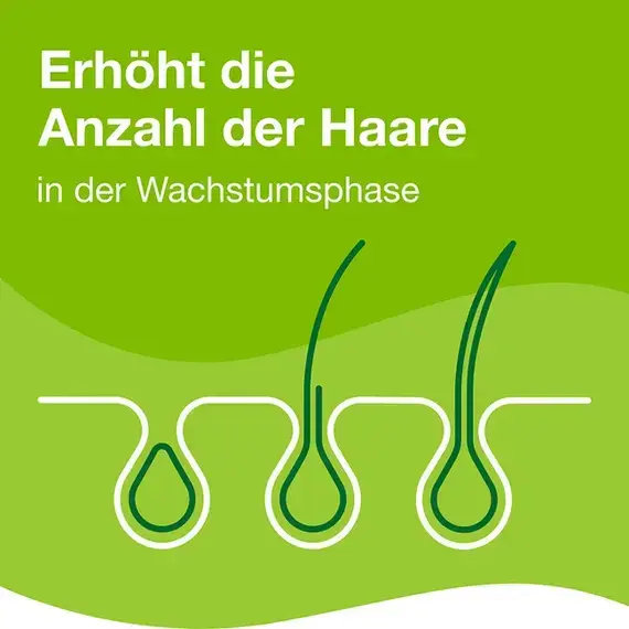 Брошюра + Priorin Приорин витамины для волос, 120 капсул, Германия (в подарок)